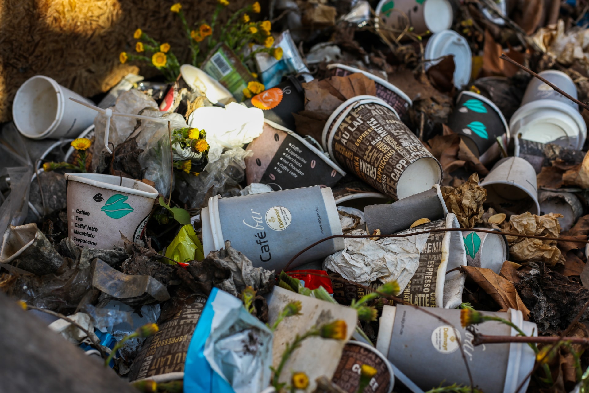 Major Producer Attempts to Greenwash Disposable Coffee Cups – Littorary