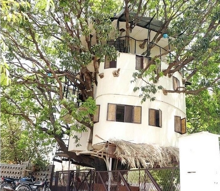 To make sure that no tree was cut down to build his dream home, Udaipur businessman Kul Pradeep Singh built a home around a 40-foot mango tree.