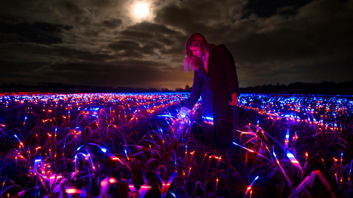 En la premier mundial del filme de GROW aparecen 20.000 m2 de paisajes luminosos con olas de luz rojas y azules en un enorme campo. GROW está inspirada en la teoría científica en la que la luz mejora el crecimiento y resistencia de las plantas.