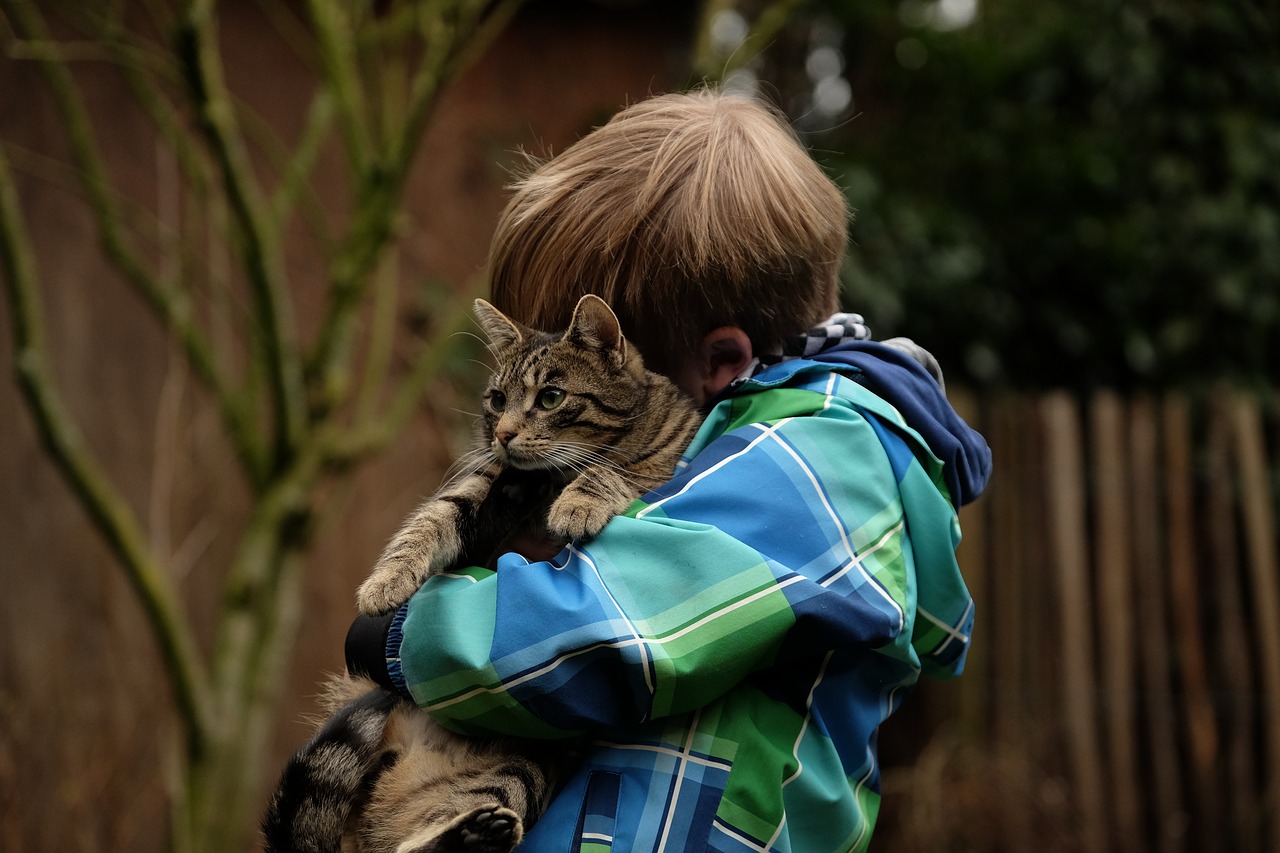 Pets can help teach those with learning difficulties or autism to engage and interact with the outside world. After forming a bond with a pet, parents found that their child began engaging and displaying levels of emotion not previously experienced.